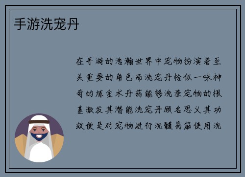 手游洗宠丹
